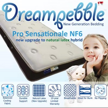 Dreampebble Pro Sensationale NF6 With Natural Latex Hybrid Mattress